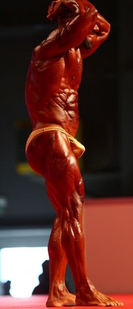 pacocutler's tweet photo. #SteveBenthin #Bodybuilder or #gay #role #HansHoffman #JacksOff #BigCock #MuscleHunks #germanhunk #hugebulge #Ausbuchtung #Schwanz #schwul https://t.co/T01D28d2RC