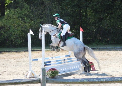 ODulchaointigh's tweet photo. #TeamNeala ends the 2017 season with 23 finishes in the top 3, including 15 blue ribbons! <Cue DJ Khaled> #Eventing #Dressage ☘️🏇🥇 https://t.co/HUyc0o6ENR