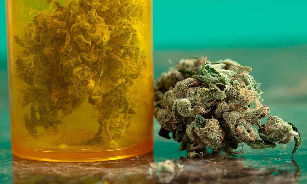 thrtechnologies's tweet photo. Pennsylvania Green-Lights First Cannabis Grow Facility https://t.co/BaFMHU2Rls #Medicinal #News #THRTech https://t.co/gKsl6EdK8M