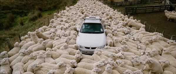 ThePunnyWorld's tweet image. Traffic is baaaaaaaad