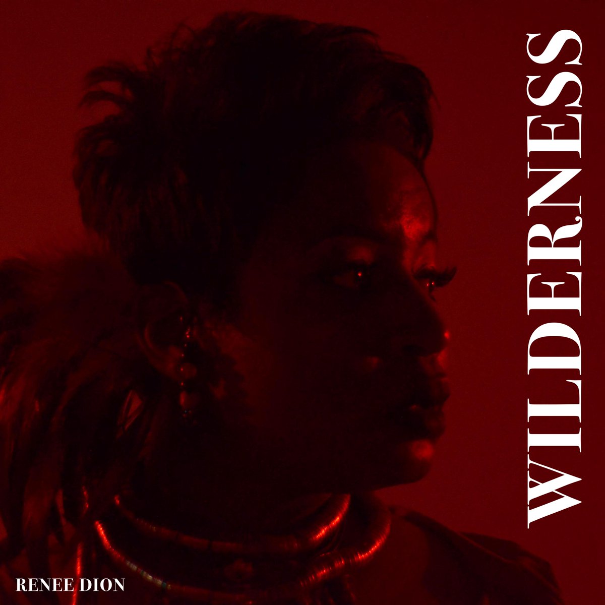 Sounds_Craving's tweet photo. Renee Dion - "Wilderness" (video) | @ReneeDionMusic - https://t.co/2LkfQ8J0jj https://t.co/6gYH9RSzjv