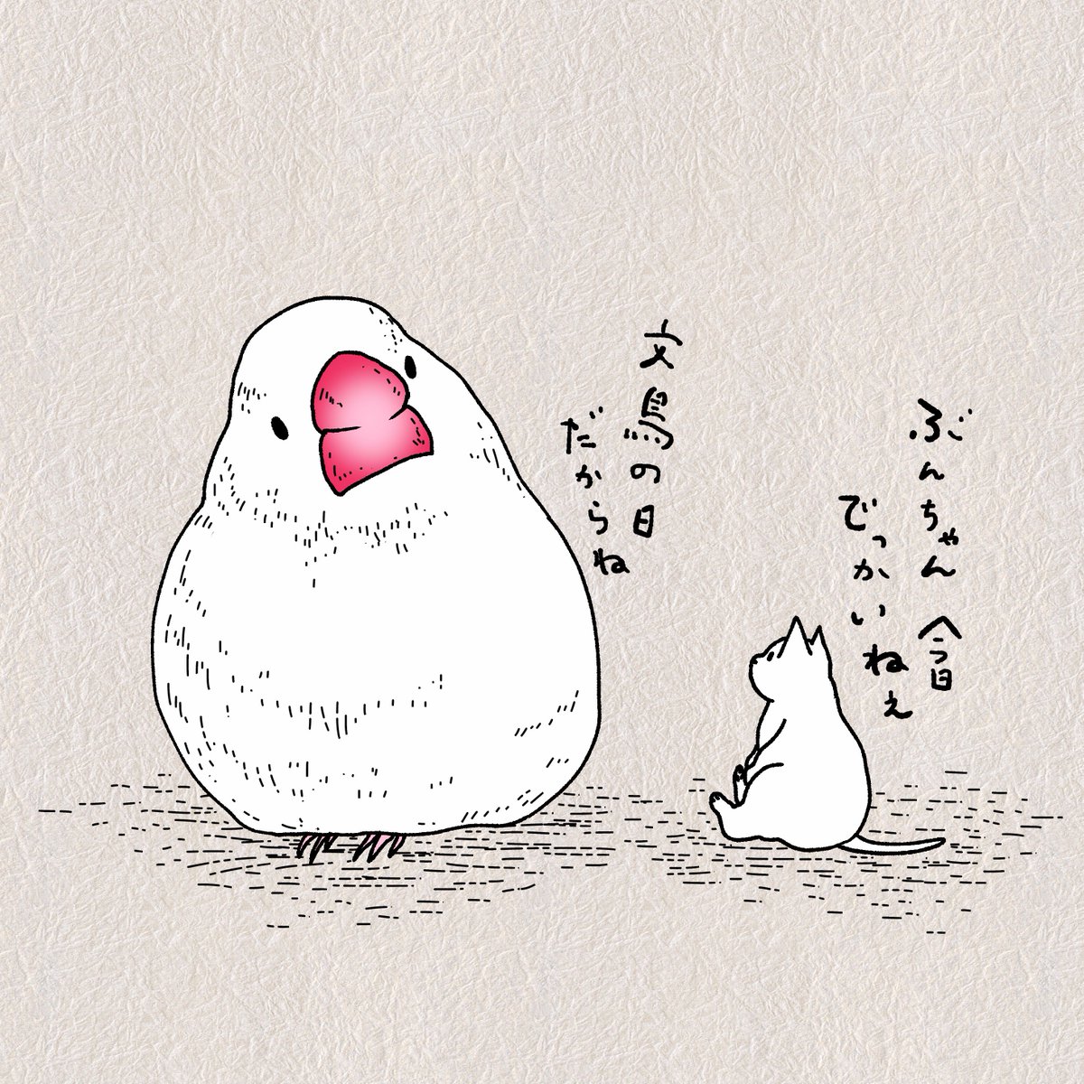 石川ともこ 文鳥かわいいな Illustration イラスト 猫 ねこ しろさん 文鳥 Buncho 文鳥の日 文鳥の日17