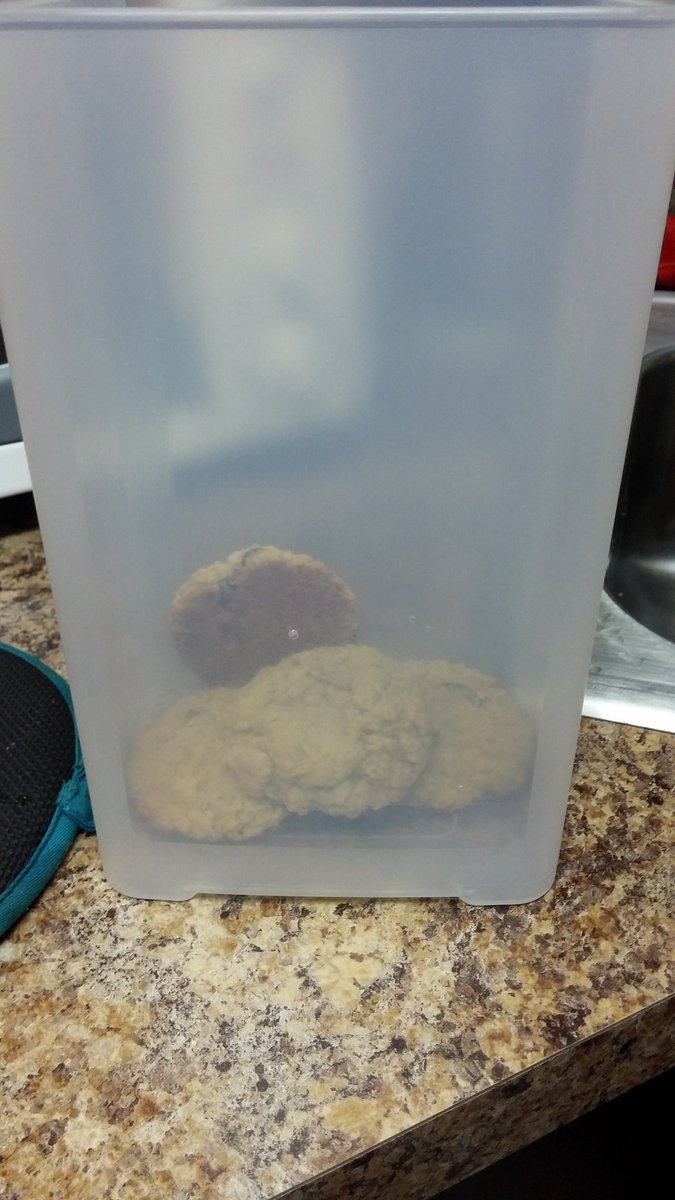 keishashyhiem's tweet photo. Where is the Cookies? #lovebeingachef #bakingsafe #bakingsimple #Cookies #MCT #mobilecookingteacher https://t.co/CITNWCAFsh