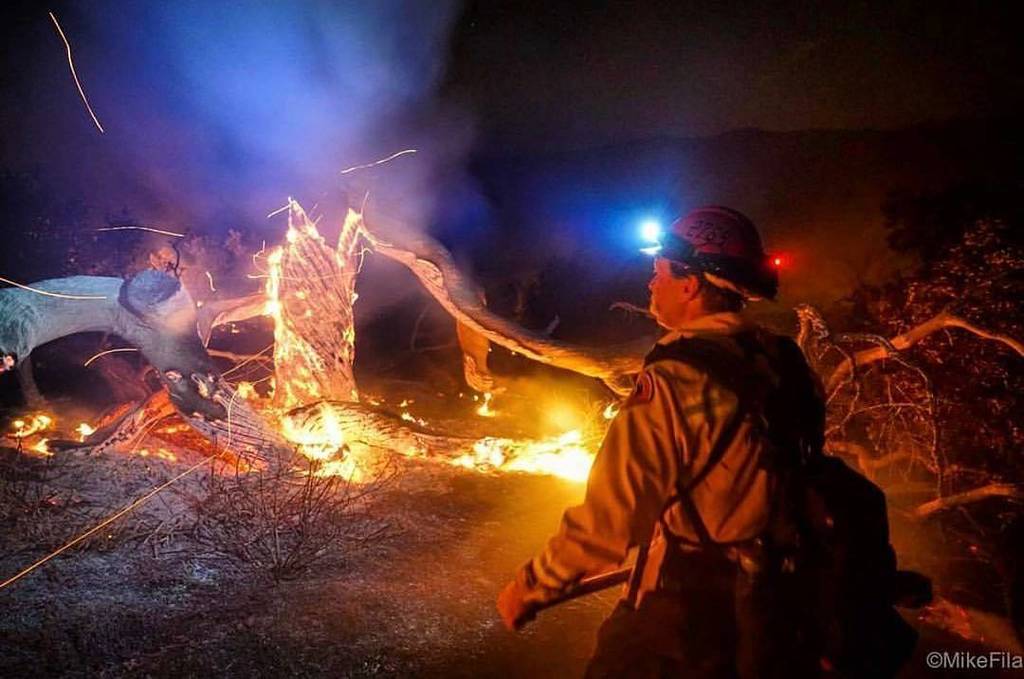 navrcos's tweet photo. 🔥FEATURED POST 🔥
@wildlandfirephotos - Repost @35.mike
・・・
Tree on fire #CPFD .
. ___💥Want to be featured? 💥____… https://t.co/74CSpoCD7P https://t.co/9hFxhLM4Uy
