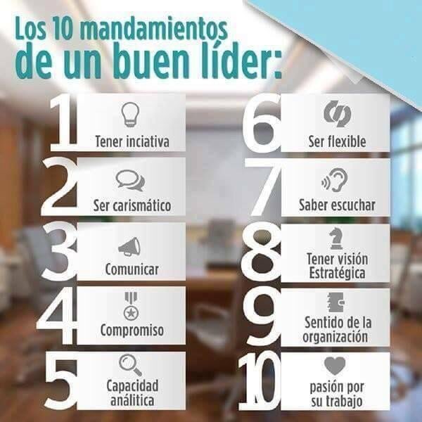 PaulinaRangelH's tweet photo. Tomen nota 📝 https://t.co/e6QsCqls8I