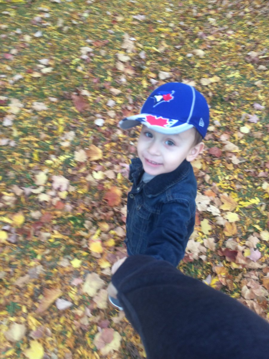 miranda_blank's tweet photo. Oh to look at the world through this little guys eyes, it makes even leaves magical #autumnleaves #funafternoon #beautifulweather https://t.co/TXdeDdKAqB