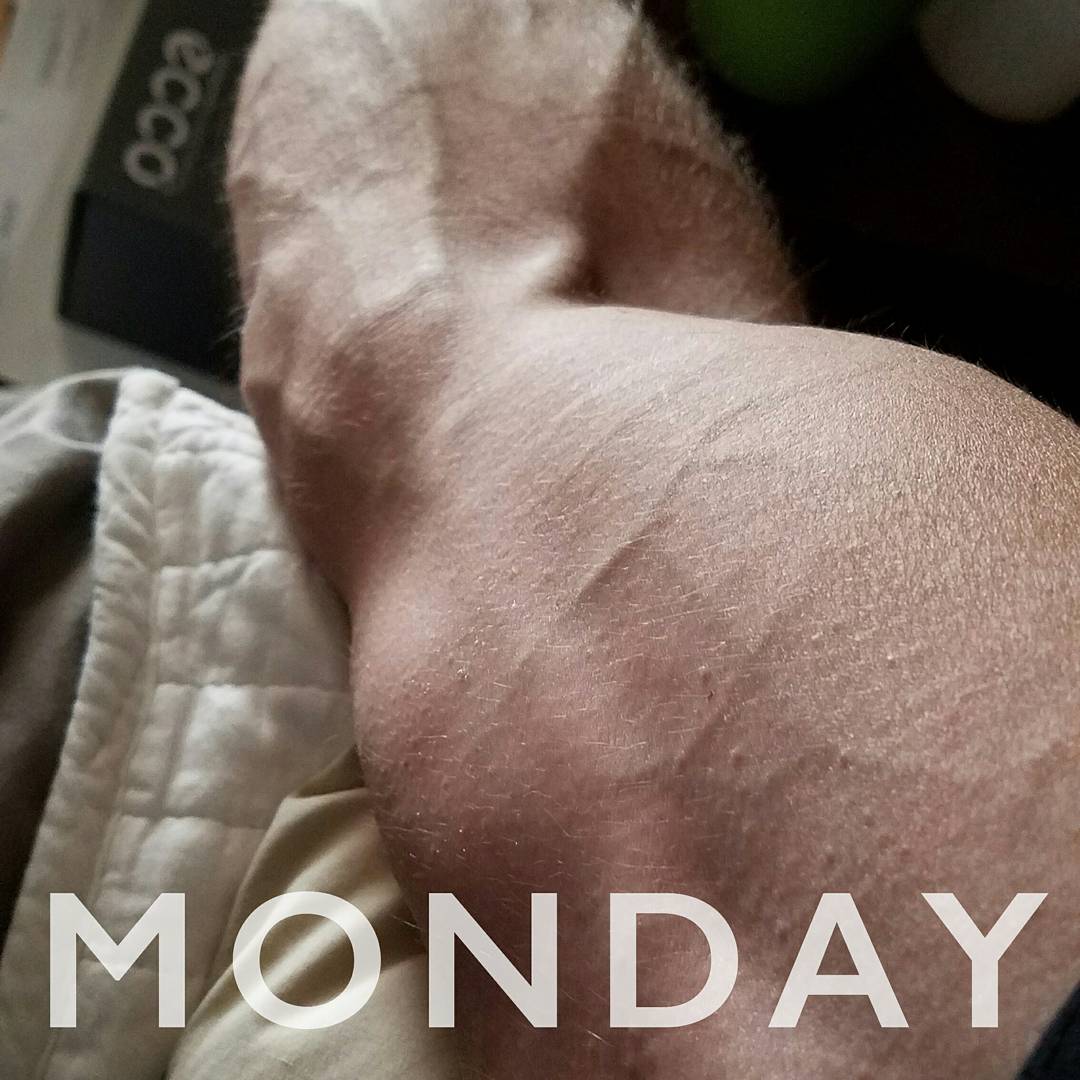 mrcloudhealth's tweet photo. Do you dread Mondays, or see them as the first day of the week to kick square in the teeth? #Goals #Success #WeightLoss #cloudhealthdynamics https://t.co/BUTX7TtoCJ