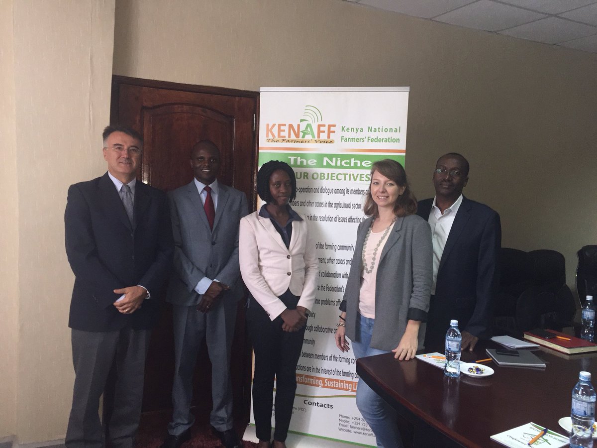 Biagio Di Terlizzi tweet media