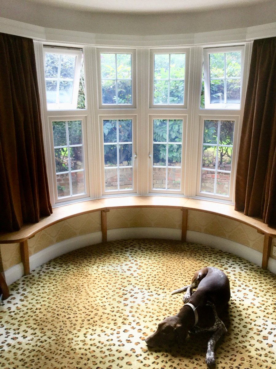 Animal Print Carpets tweet media