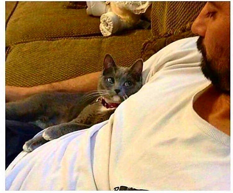 Nero_AzC's tweet photo. Quand y'a une scène un peu olé olé ma copine elle me regarde comme ça pour voir si je matte https://t.co/fOaJvVxKMg