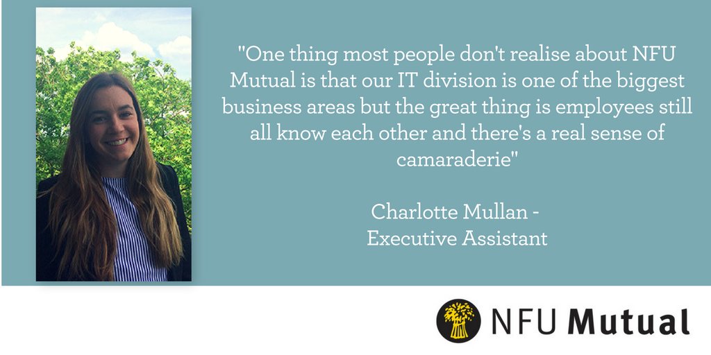 nfum_Careers's tweet photo. We have launched a new page with information on everything #IT at @nfum You can find roles, interviews and more: https://t.co/44JNB8LYNz https://t.co/oHwVM7mfvM