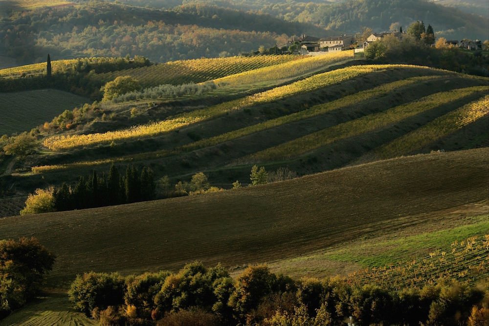 Vella_Terra's tweet photo. Conociendo la #Toscana más natural > https://t.co/UFUmPJnGw3 
El #vino que identifica al territorio: @TuniaWines y #Pacina
#realwine #Italia https://t.co/W1J3vKjeyi