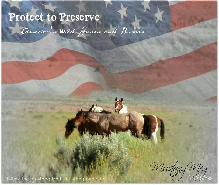 hardcorerox's tweet photo. @YarosisNancy @samjarvis49 @JaynePGB @RobinH2222 @Mohamed_Madany @michelarandy @DudeneyN @miaminative53 @ArcticFox_am_I @sirrockstone @JoeleeSalvalag2 @NeillVicki @Mjfaithful @mizwizmizwiz @Rajaba7 @MesMitch @shaunwalters041 @hilarysontag @jmb1256 @TeamAll4Animals @yadi1278 @RoseBartu @alexandrabird13 @awkward_1110 @Hope012015 @PinkChocoCandy @WynneGuglielmo @SenatorLesniak @JadenCornelious @LeeWolfX @j_zeverino @reddogsusie @DogCrusader @Change #ProtectWildHorses
#YestoSafeAct https://t.co/PKFEmixk7e