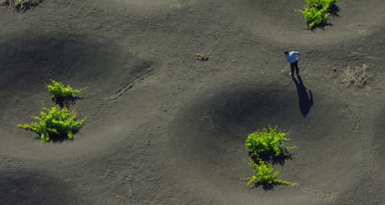 laciteduvin's tweet photo. J-6 pour la série sur @ARTEfr "Des vignes et des Hommes". Des images sublimes de vignobles du monde. A retrouver aussi dans @laciteduvin https://t.co/pOxu1UuQ51