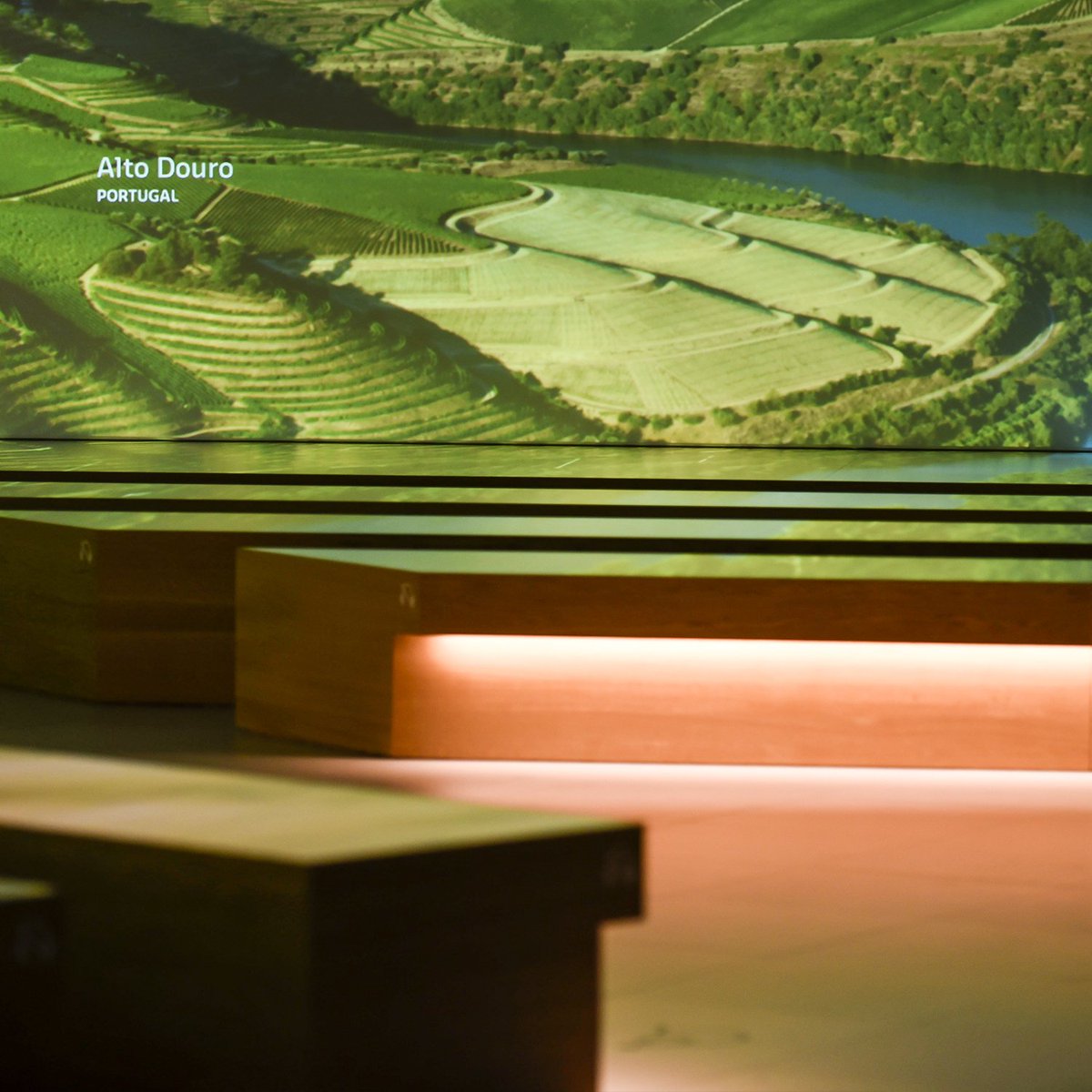 laciteduvin's tweet photo. J-6 pour la série sur @ARTEfr "Des vignes et des Hommes". Des images sublimes de vignobles du monde. A retrouver aussi dans @laciteduvin https://t.co/pOxu1UuQ51