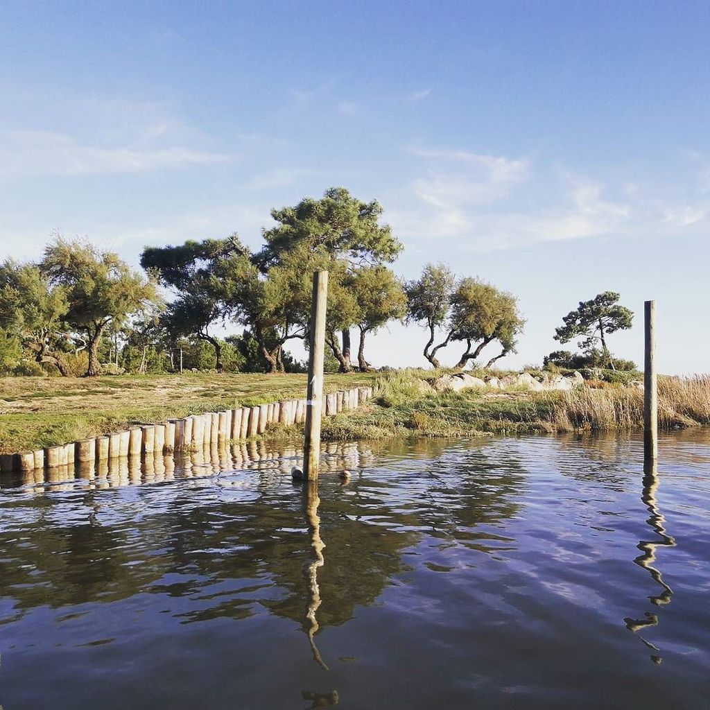 TVBA_fr's tweet photo. Encore une belle journée d'automne sur le #Bassindarcachon ☀️⛵🌾#Nofiltre #CoeurBassin #Lanton #Marée #Igersgironde… https://t.co/Uwto6K44Is https://t.co/I1AQkfmsiH