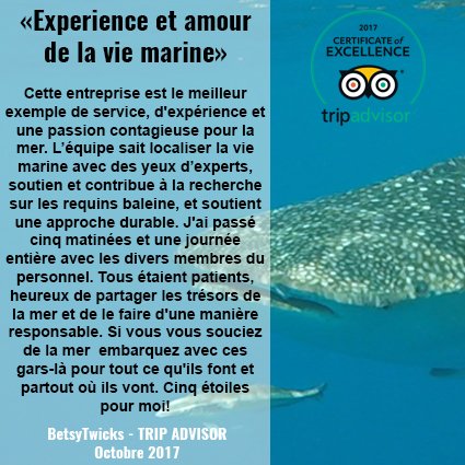 BaleinesRandeau's tweet photo. Un très bel avis Trip Advisor pour commencer la semaine ! Toujours un grand plaisir de voir que le travail et la passion sont récompensés ! https://t.co/KQpfE6lu3G
