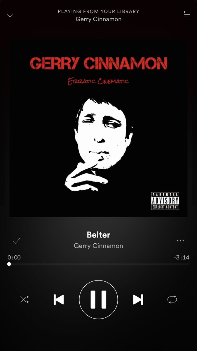 lividihard's tweet photo. Travelling to Poland with work today and @GerryCinnamon is gonna get me through these flights with ease #belter #fireisburning https://t.co/GQPVplqYVX