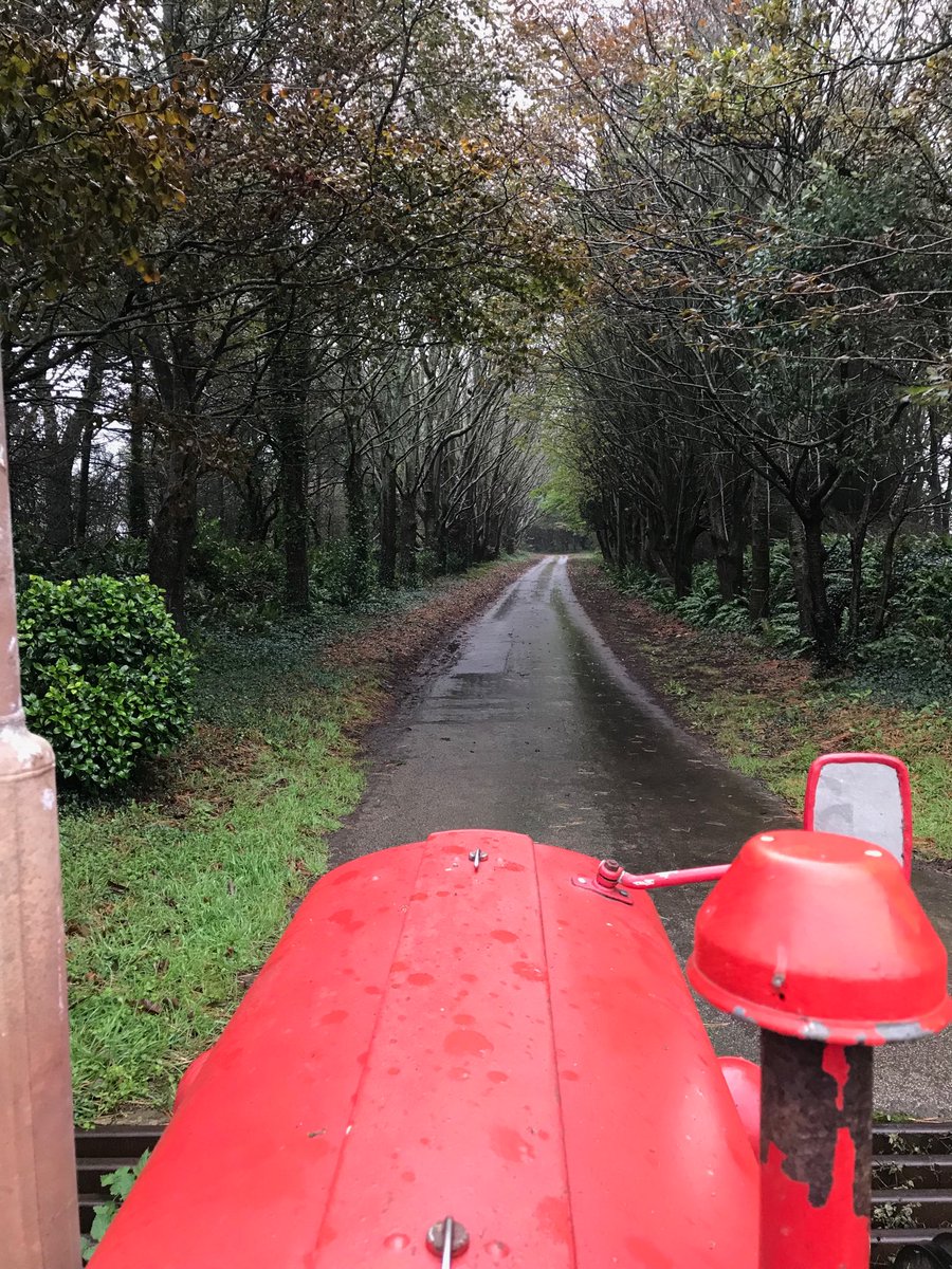 Kernow_Life's tweet photo. Bit of a #damp one today! #littleredtractor time.#trees looking a bit #bare now. Plenty more to drop yet. #trewinnard #sterth #cornwall https://t.co/g6pzvpDlGx