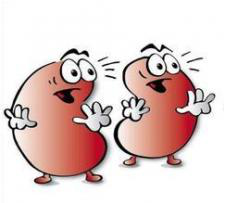 I am a kidney doctor with natural therapy. If you have any kidney problem, please consult me. or send to my email: yuyingbeibei@gmail.com.