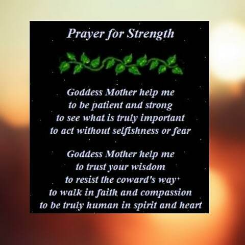 curlywagg's tweet photo. 🌸 #makingmyselfstronger #anxiety #depression #anxietysucks 🌸#thisisme☮ #vegan #wiccan #geek #feminist #lovemothere… https://t.co/cc2VVZkBZi https://t.co/WC82rw88sc