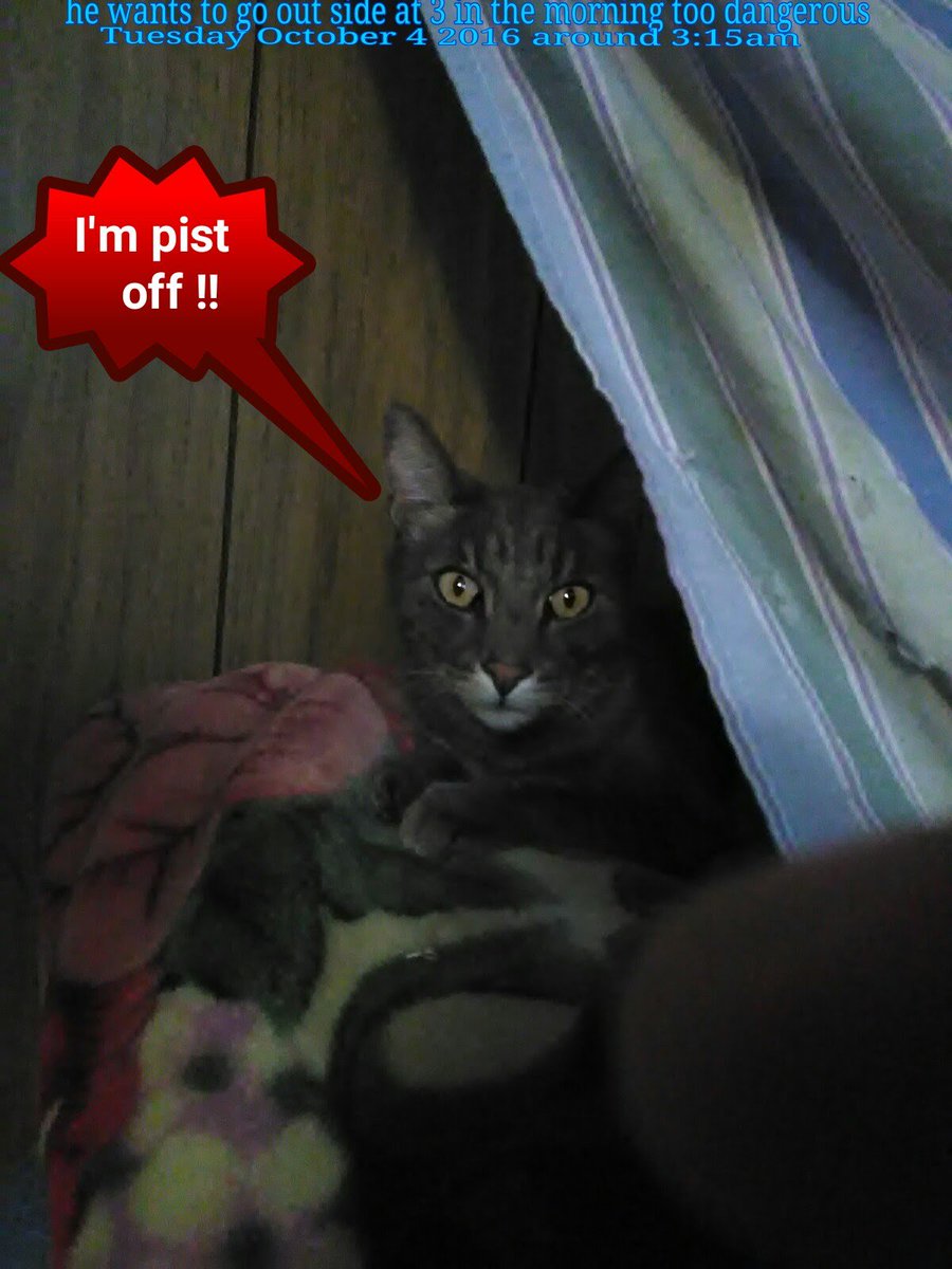 HowCome2017's tweet image. HowCome