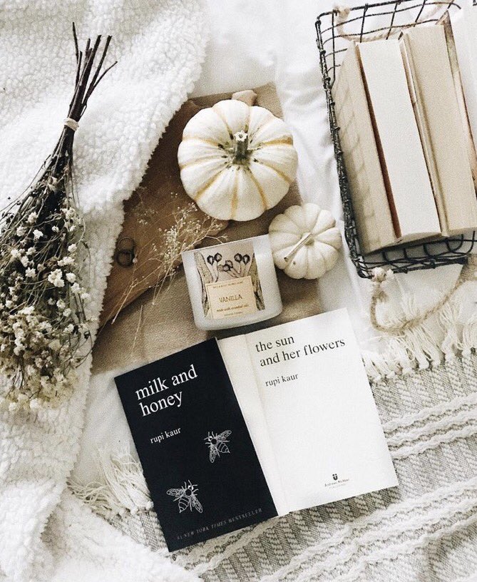 نجوى هاشم Auf Twitter س ئلت عمن سيقود الجنس البشري فأجبت الذين يعرفون كيف يقرؤون فولتير