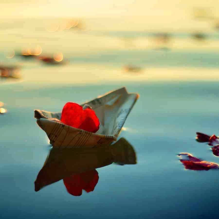 DavLucia's tweet photo. Sperare,lottare,credere sempre per migliorare la vita e avverare i propri sogni
Dolce nuovo giorno @MgMariagrazia un forte abbraccio 😘🌹❤️ https://t.co/icnkWighJK