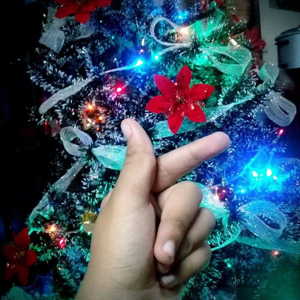 lalabzzsum's tweet photo. https://t.co/Ap7HDb5cqu