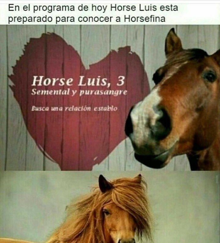 Hipicashelly's tweet photo. Humor mañanero😂. Bdías! https://t.co/DiJ4OZg4l0