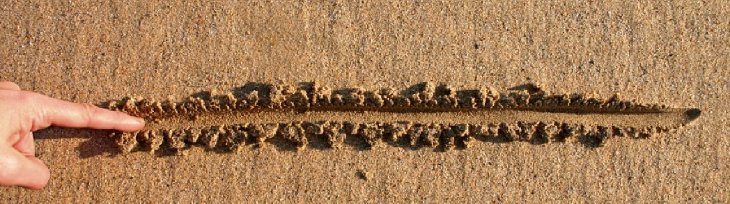 RickStrahl's tweet image. Blogged: .NET Core 2.0 and ASPNET 2.0 Core are Here weblog.west-wind.com/posts/2017/Oct…