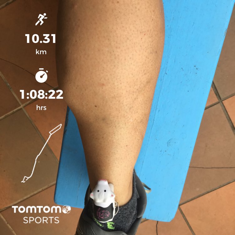 CoachOneTime's tweet image. #HeiferBelle meets #AngreyBabyCow 🐮🤣
Awesome morning run 🏃🏽 with #Partnet @lieslcoppin Welcome Bach #DurbanHumidity 😅