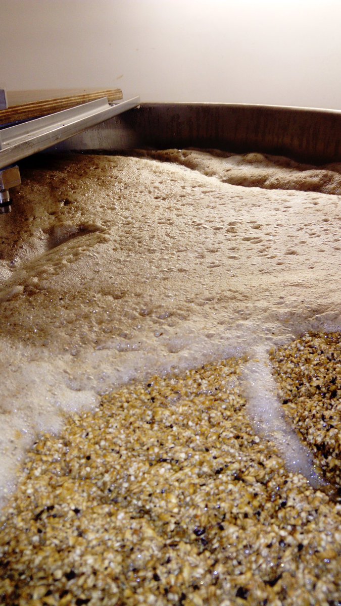 curiouskombucha's tweet photo. Pushing the mash tun capacity this morning @Gyle59brew! #adultjam https://t.co/rsW3diRQZ4