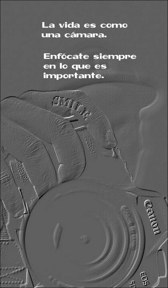 ignasi_martin's tweet photo. La vida es como una cámara de fotos. Enfócate siempre en lo que es importante. #quoteoftheday #bondia #firstthefirst https://t.co/u7hgPDMaOG