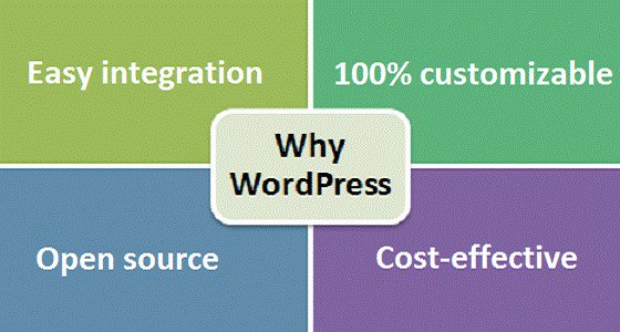 wbcomdesigns's tweet photo. #Wordpress is just amazing. #WBcomdesigns. https://t.co/vg447bpiqP