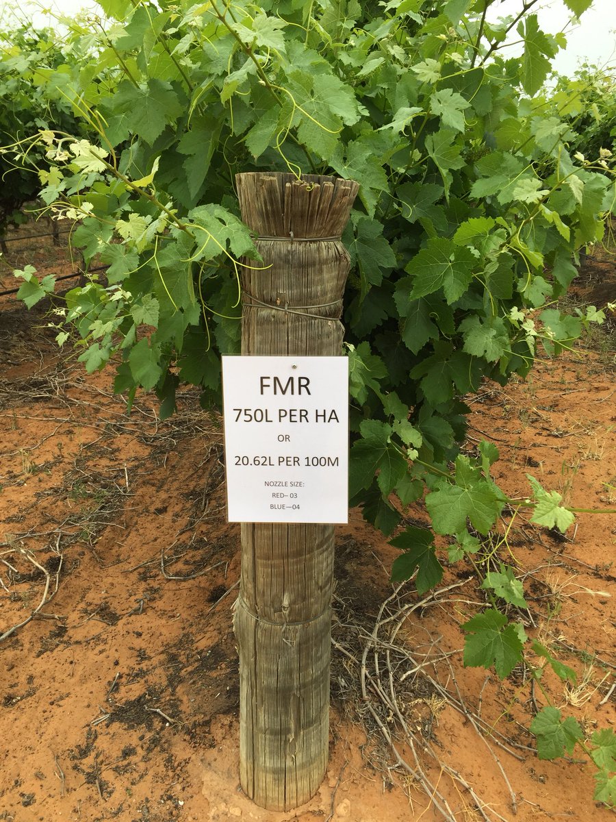 HortApplication's tweet image. #CoverageIsKey getting ready for another dye night