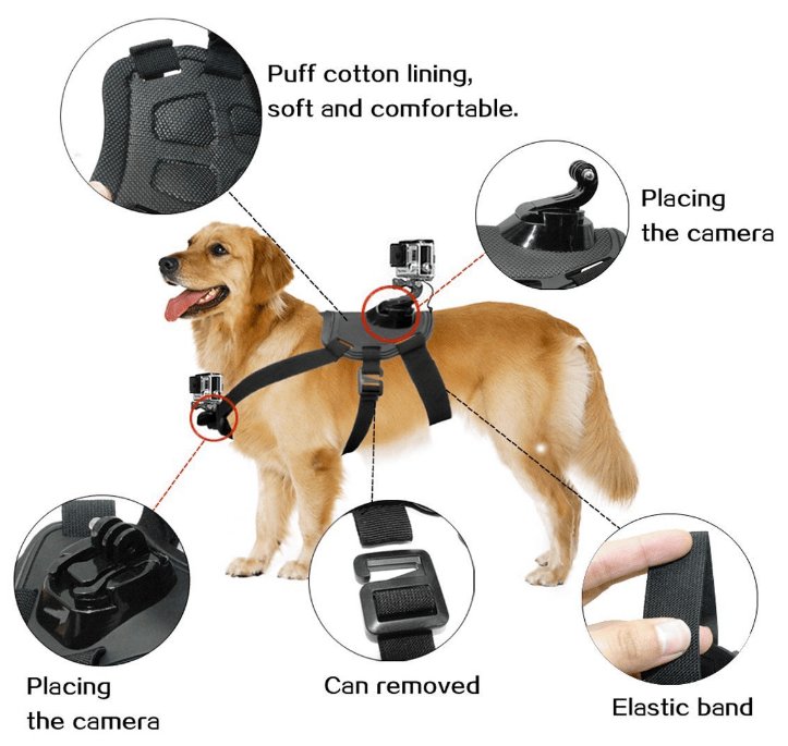 iamgoprocom's tweet image. Best Seller #GoProMount for #Dogs and# Pets under $15 - @iamGoPro buff.ly/2yA4O8O