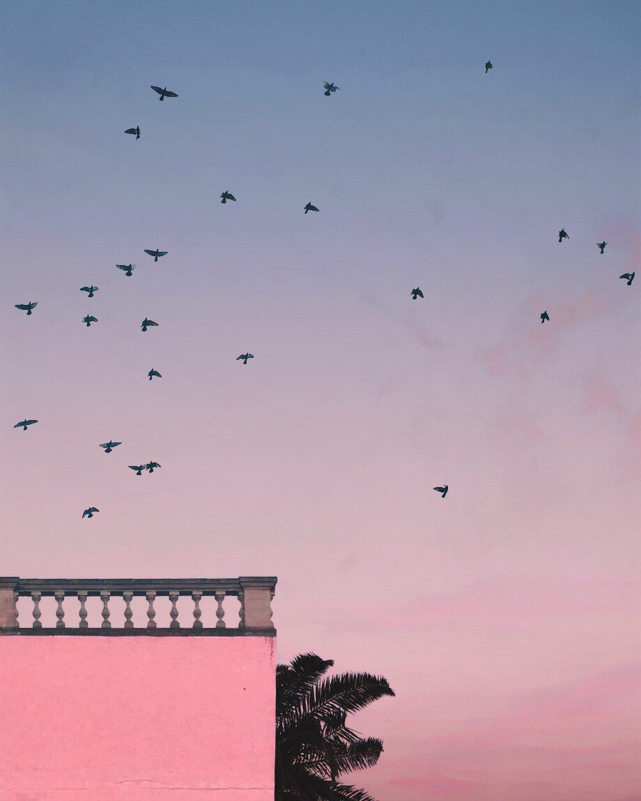 youminimalism's tweet photo. https://t.co/UeDtx7m6Es