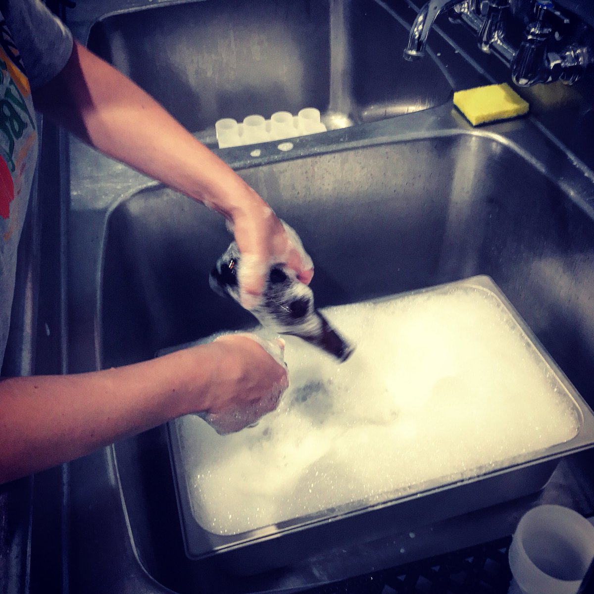 ExtremeHomebrew's tweet photo. Cleaning bottles ... #craft #beer #craftbeer #home #brew #homebrew #homebrewing #drinklocal #extremehomebrew https://t.co/mkyjS7Z1St