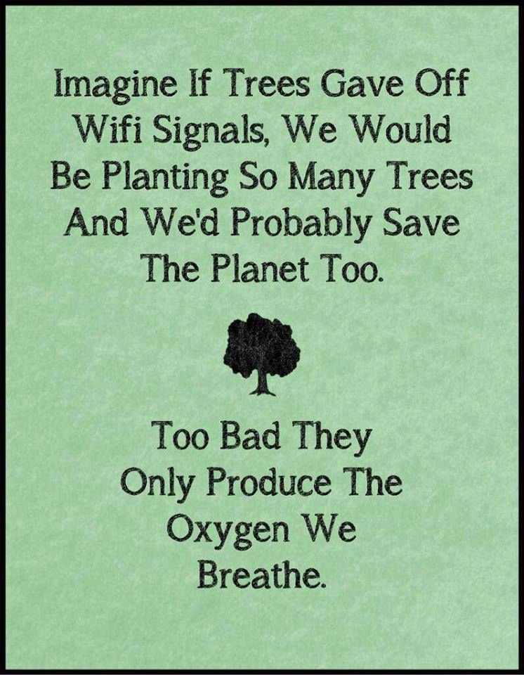 The_GreenBoat's tweet photo. Imagine...
#trees #lovenature #lovelive #govegan https://t.co/59Dycs851V