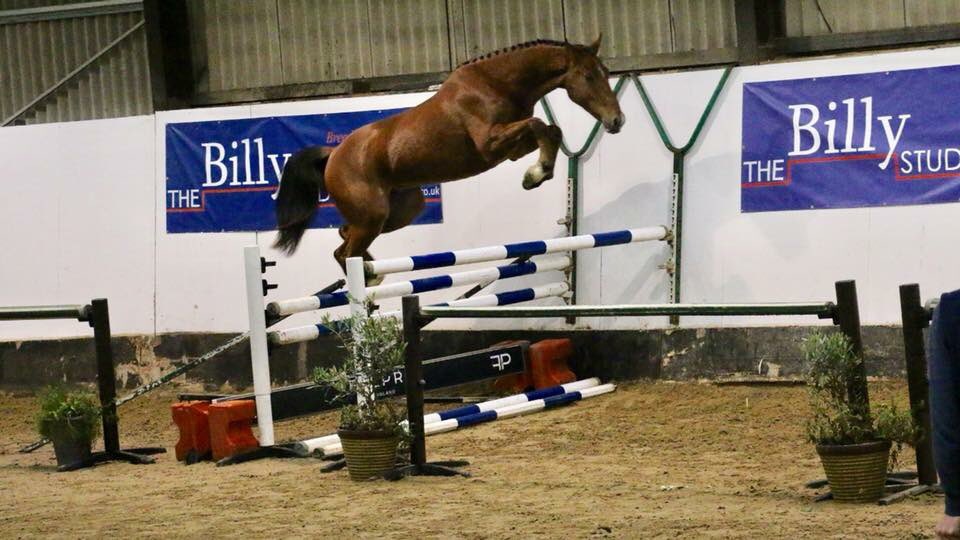 The Billy Stud tweet media