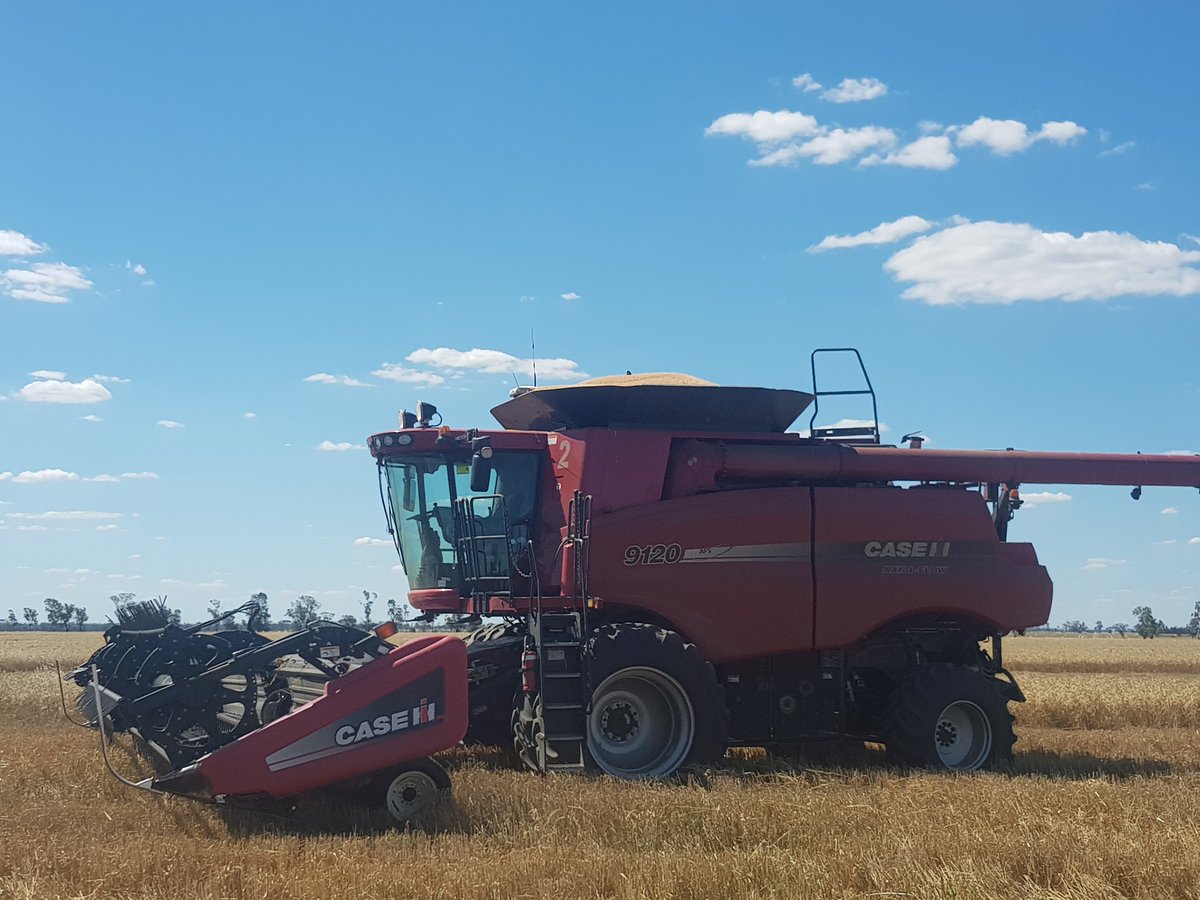 Oscarthefarmer's tweet photo. It begins
#wheat #crop17 #bigredliedetector https://t.co/X7eGiaBEIe