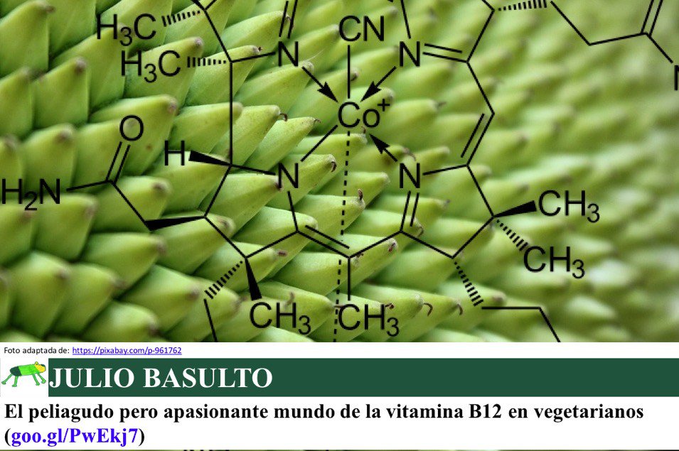 JulioBasulto_DN's tweet photo. El  peliagudo pero apasionante mundo de la vitamina B12 en vegetarianos (cito a las personas etiquetadas en la foto) https://t.co/CyC7Y8tS3E https://t.co/M8OJ2okH74