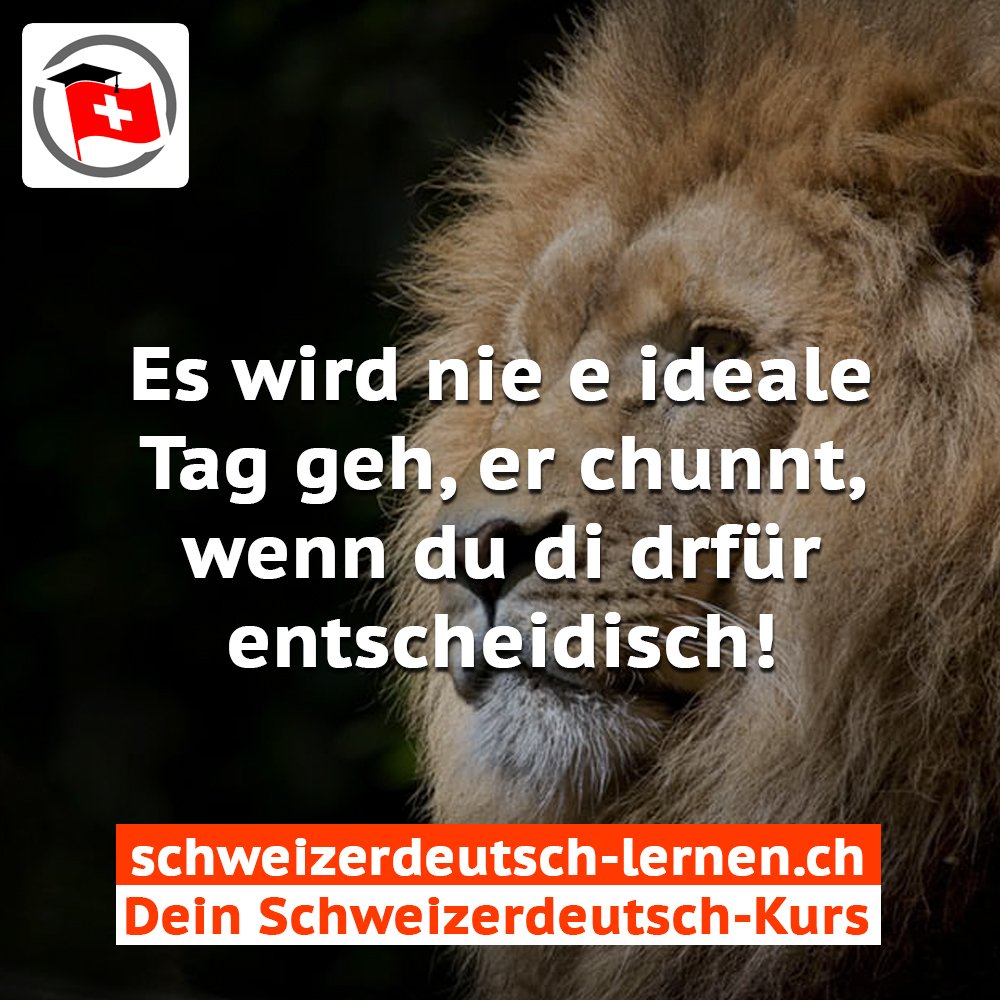 gruezi1's tweet photo. Motivation am Montag mit https://t.co/GN72ML4hHH
#motivation #schweizerdeutsch #lernen #basel #bern #schweiz #zürich #swiss #rhein #aare https://t.co/p3F7B8bAbw