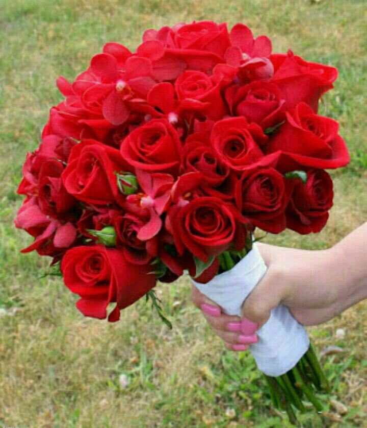 راشد (@yteyia) on Twitter photo 