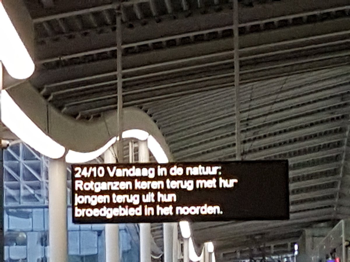 NeldeKam's tweet photo. Onderweg @NS_online, met deze tekst van @publicworks2016 @hodienaturam. Goede reis en fijne dag iedereen! https://t.co/FLuhsDsklh