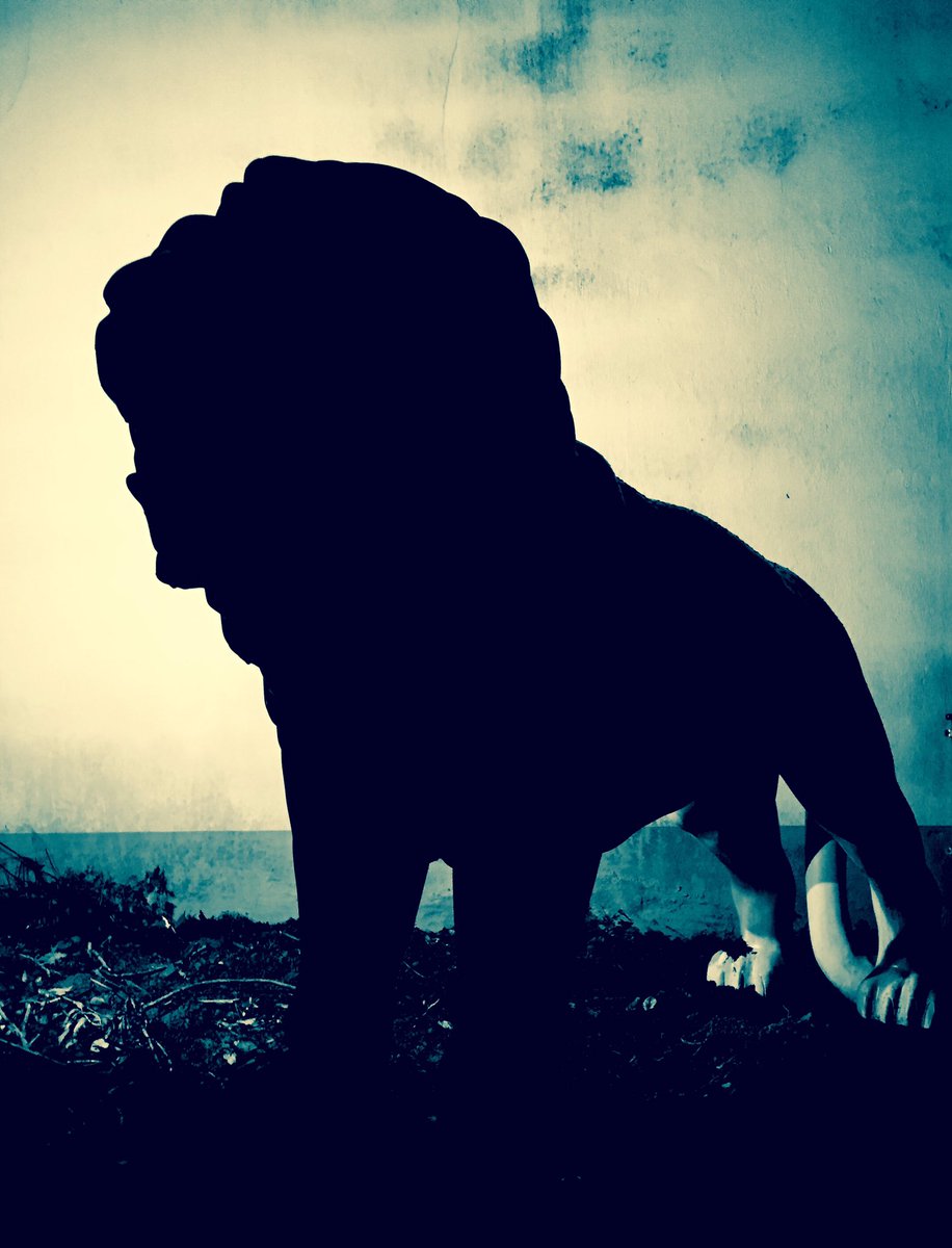 ferociousplay's tweet photo. Freedom lies in being bold.
Robert Frost https://t.co/irDSJUWbb9