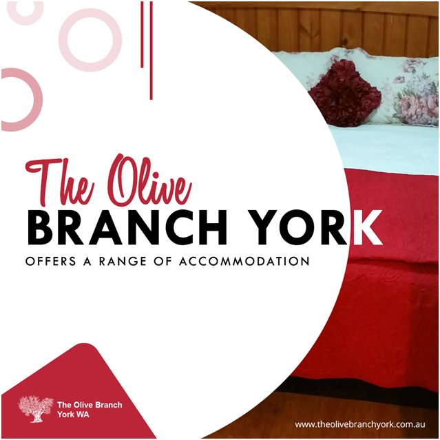 Olive Branch York (OliveBranchYork) Twitter