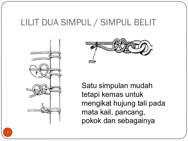 Ikatan simpul manok