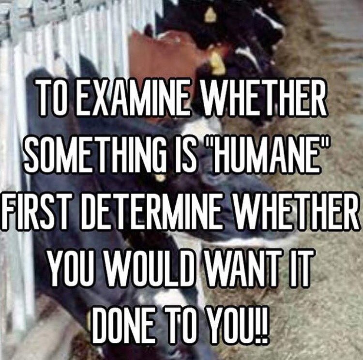 AnimalRightsPrj's tweet photo. #animalrightsproject #animalrights #animalrightsactivism #animalactivism #animalactivist #saveanimals #animalshaverights #animalsfeelpain https://t.co/nOKQpcqMVD